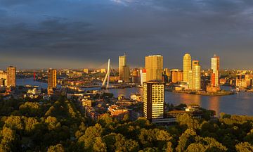 Spätes Sonnenlicht über der schönen Skyline von Rotterdam von Jos Pannekoek