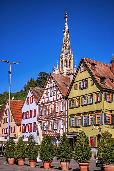 BADEN-WÜRTTEMBERG : ESSLINGEN AM NECKAR van Photoart-Naegele