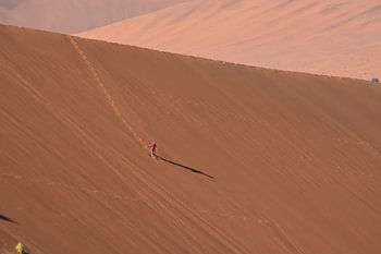Zandduinen in Namibië