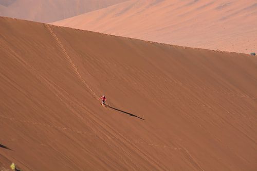 Zandduinen in Namibië