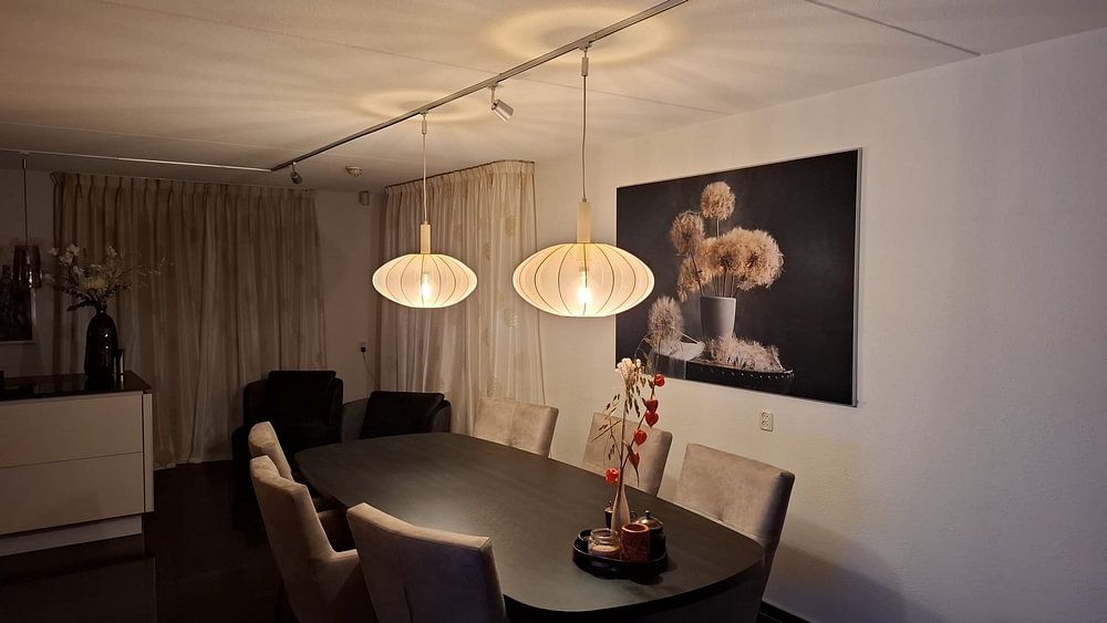 Löwenzahn-Samenschote  von Lydia Jacobs 