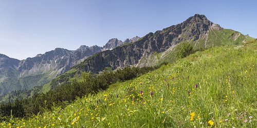 De stille pracht van de Kanzelwand