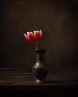 Single flower
