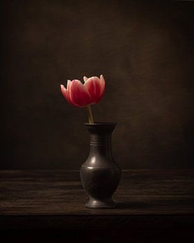 Einzelblume