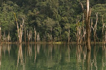 Lac Khao Sok sur sandra wauters