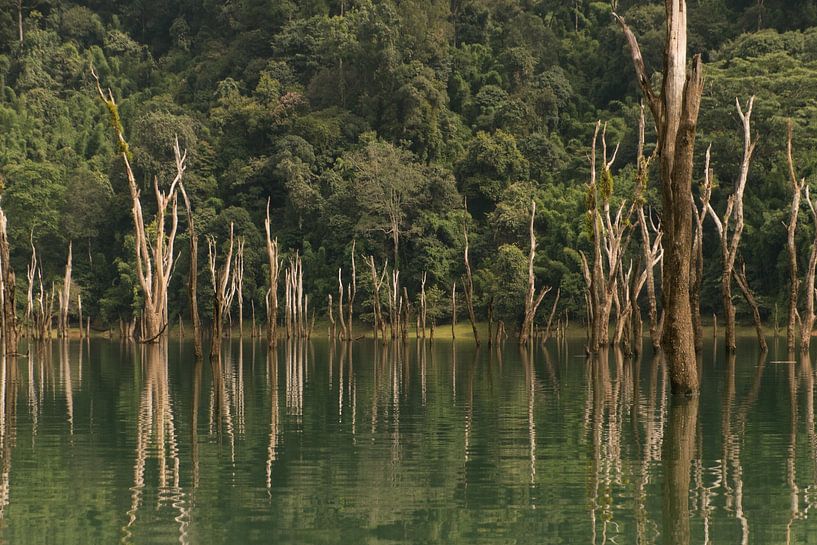 Khao Sok See von sandra wauters