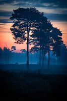 Before dawn