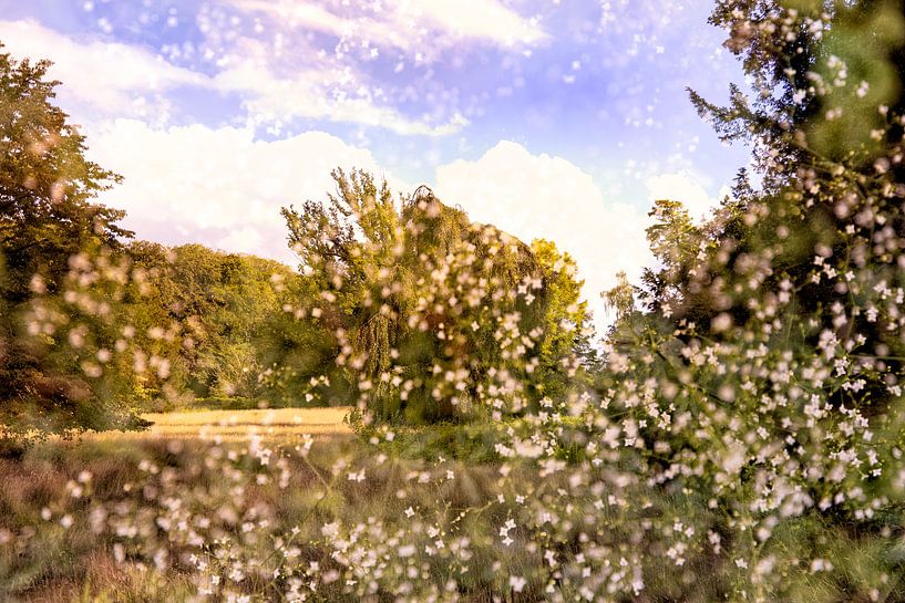 Paysage d'Utrecht (double exposition) par Tot Kijk Fotografie: natuur aan de muur