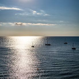 Baai van Calamoresca nabij Piombino Italië van Nicolette Suijkerbuijk