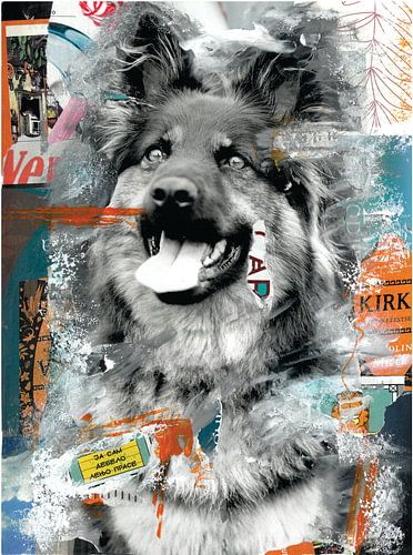 Berger allemand sur Nora Bland