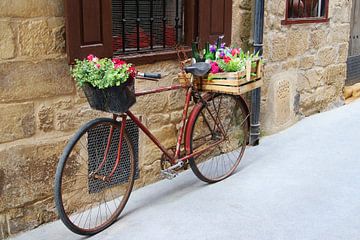 Brocante bloemenfiets van Inge Hogenbijl