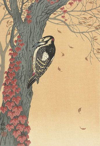 Grand pic tacheté dans un arbre avec du lierre rouge de Ohara Koson