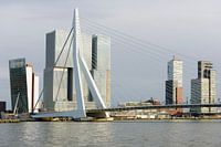 Architectuur op de Rotterdamse Wilhelminapier