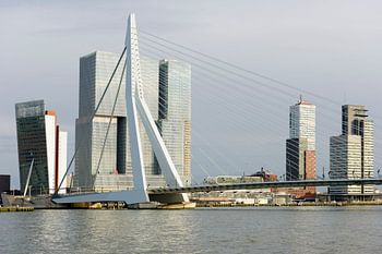 L'architecture sur la jetée Wilhelmina de Rotterdam
