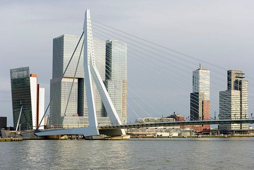 Architektur am Wilhelmina-Pier in Rotterdam