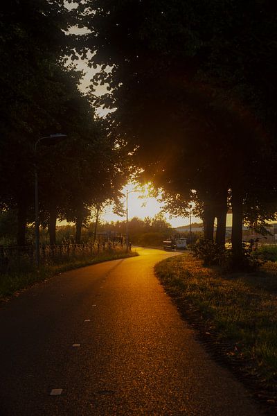 Le chemin d'or par Miranda Geerts Art