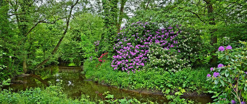 Spring Idyll in the Public Park of Soltau by Gisela Scheffbuch