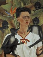 Frida Zelfportret met aapjes