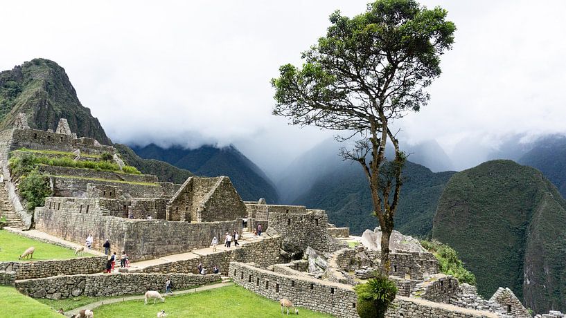 Peru - Zicht op Machu Picchu van Eline Willekens