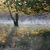 Ochtendsfeer in de vroege herfst sur Hans Koster