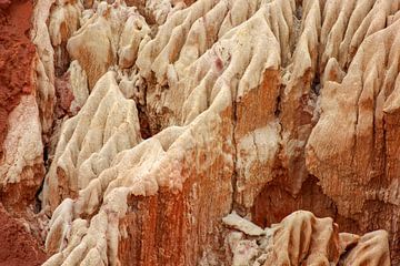 Sandsteinformationen im Tsingy Rouge Park auf Madagaskar von Reiner Conrad