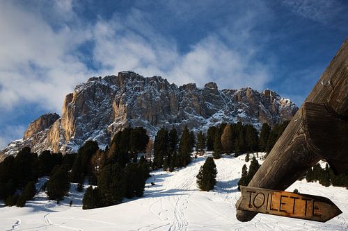 Toilette van Sven Benjamins