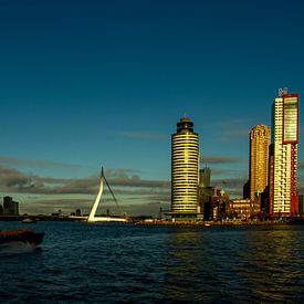 Rotterdam aan de Maas van Monique van der Steen