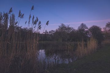 Teich in der Segbroeklaan am Abend, Den Haag von Wouter Kouwenberg