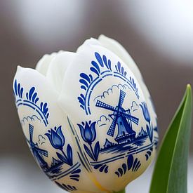 Delfts Blauwe Tulp met Molen van Studio Ypie