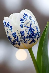 Delfts Blauwe Tulp met Molen