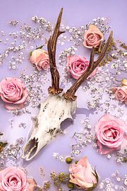 New country ; Rose reebuck antlers - Pastel edition. von Nikki Segers