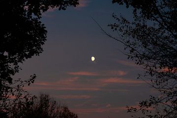 zonsondergang met maan van manon vermeulen