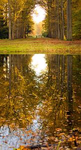 Herbst von Shoots by Laura