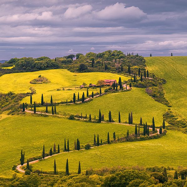 Die kurvenreiche Zypressenstraße bei La Foce von Henk Meijer Photography