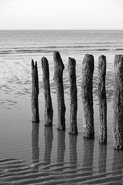 Strandpaaltjes