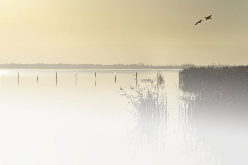 Dutch landscape by Michelle Zwakhalen