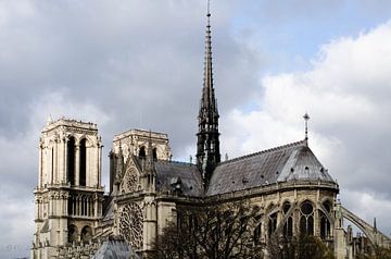 Paris - The Notre-Dame by Eline Willekens