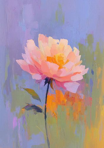 Pink rose in a play of colours