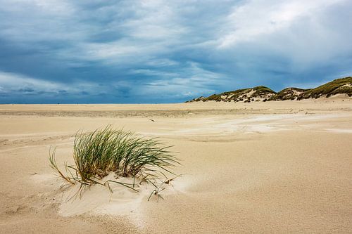 Landschaft mit Dünen auf der Insel Amrum