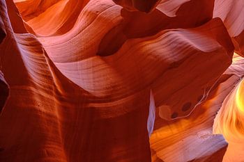 Wonders of light