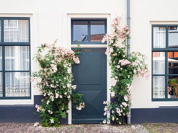 Tür mit Blumen in Middelburg