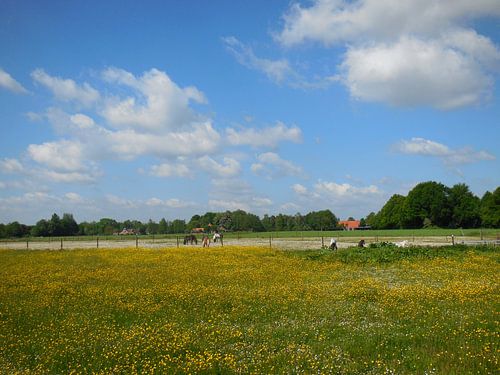 paysage hollandais avec des fleurs et des chevaux miniatures