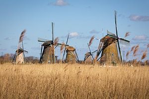 Kinderdijk Windmühlen