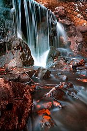 Sonsbeek, Arnheim. von Lisa Antoinette Photography