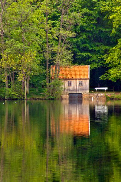 House on the lake by Kirsten Warner