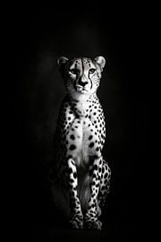 Geopard. by Poster Art Shop