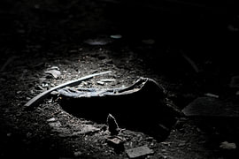 The Last Dance by RednaS Photography