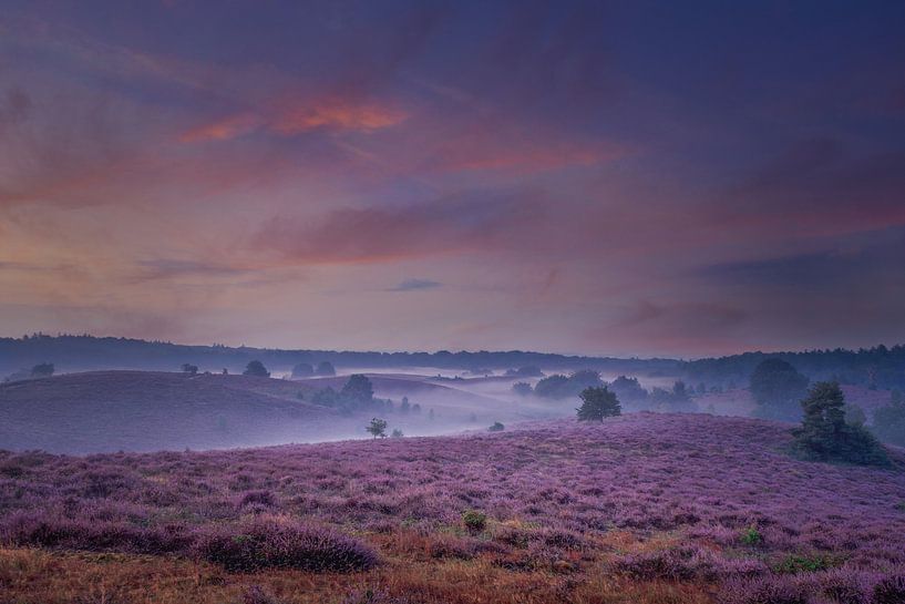 National Park Veluwezoom by Dennis Donders