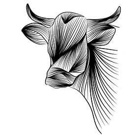 Poster koe - boerderij - dieren - zwartwit van Studio Tosca