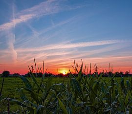 Sonnenuntergang Lathum von Sharon Hendriks